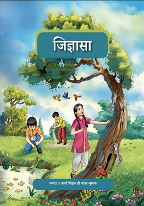 Curiosity (Dogri) cover