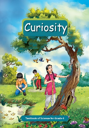 Curiosity cover