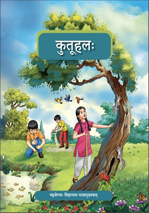 Curiosity (Sanskrit) cover