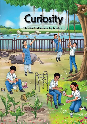 Curiosity cover