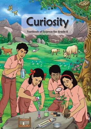Curiosity cover