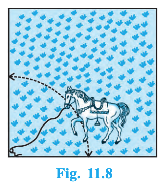 Class 10 - Mathematics - Exercise 11.1 - Question 8 - Figure